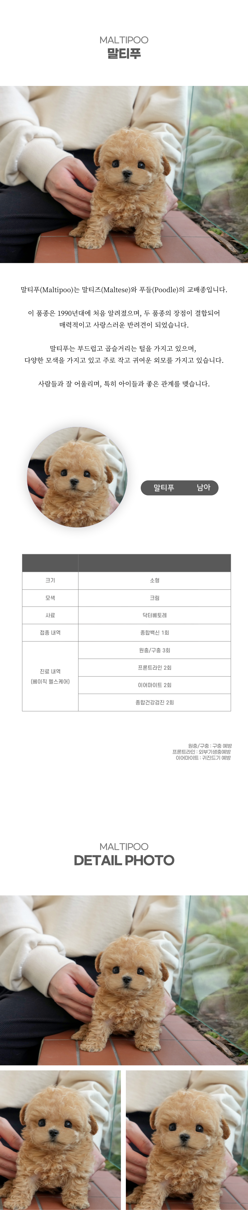 말티푸_상세이미지_2